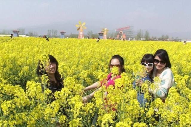 中国油菜花最美的五个地方，处处皆景，你觉得哪里最美？