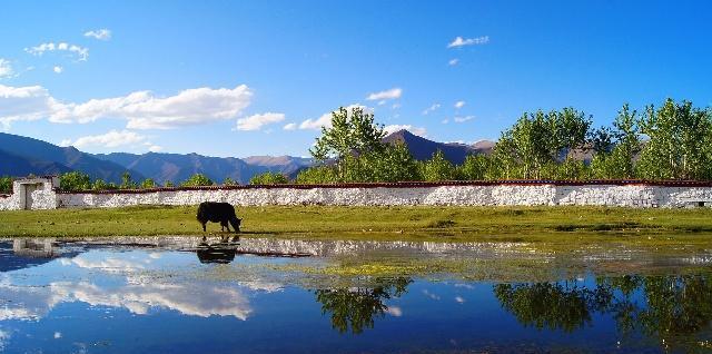 川藏线上的穷游女，老司机告诉你这种姑娘千万别搭，不然肯定后悔