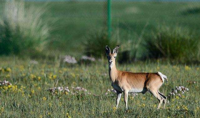 中国最心酸的城市,人口急剧减少,却有着最独特的地域风貌