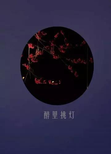 一壶浊酒尽余欢，十首诗词读半生