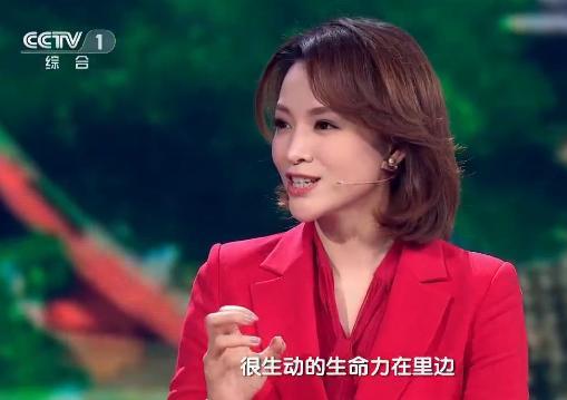 中国诗词大会：一场春风，惹董卿康震相谈甚欢，引出大唐晴朗之色