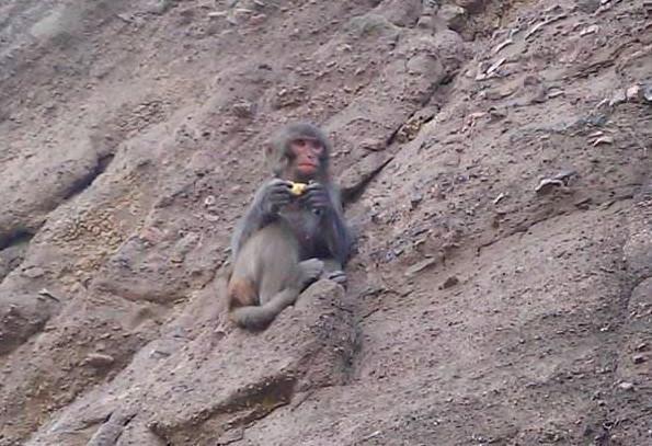 中国最“神秘”的塔：建在40米巨石上，近代无人能上，建造成谜