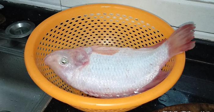 快过年了，鱼肉试过这样吃吗？做法简单又好吃，做一条待客真有面