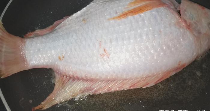 快过年了，鱼肉试过这样吃吗？做法简单又好吃，做一条待客真有面