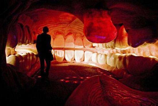 全世界最恐怖的博物馆，展览人类身体，小孩不能看