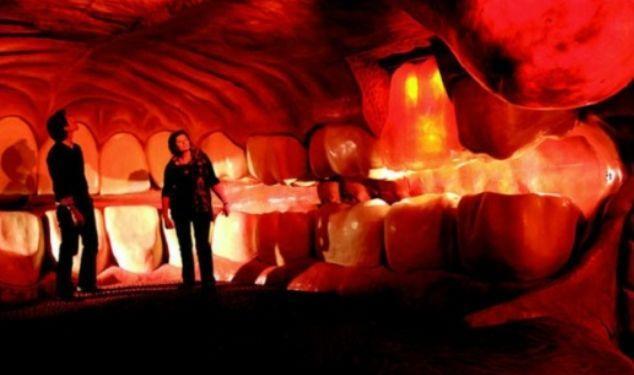 全世界最恐怖的博物馆，展览人类身体，小孩不能看