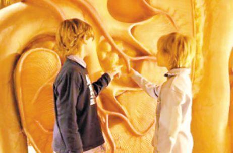 全世界最恐怖的博物馆，展览人类身体，小孩不能看