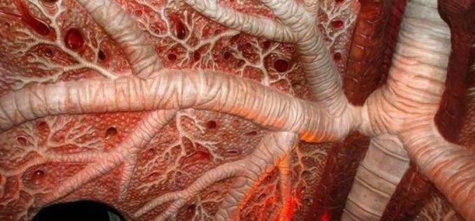 全世界最恐怖的博物馆，展览人类身体，小孩不能看