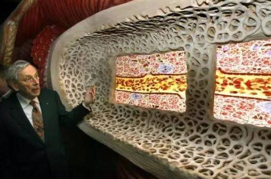 全世界最恐怖的博物馆，展览人类身体，小孩不能看