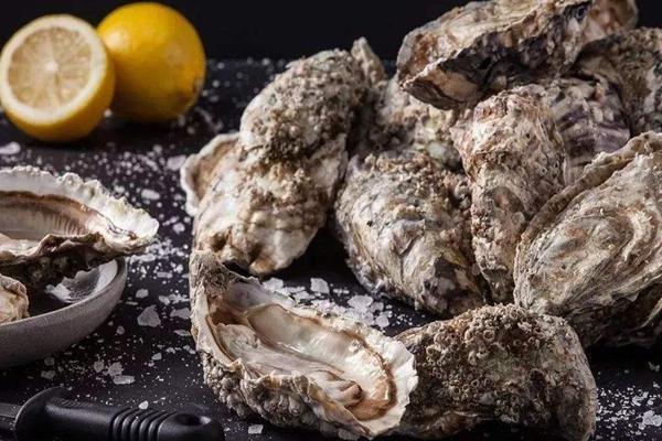 丹麦生蚝泛滥，求救中国“吃货”，国内网友回应：备上大酱