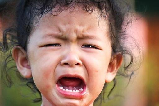 解气！杭州狗主人被刑拘，不栓狗绳还当着孩子面做这事，严惩不贷