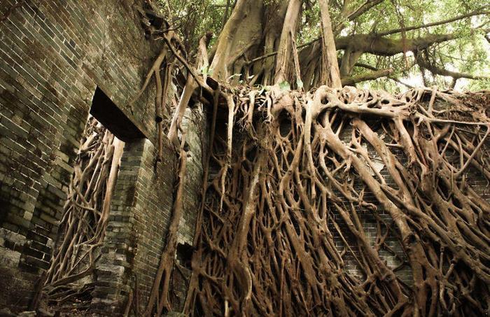 中国最“阴森”的村子，遍布豪宅却没有活人，太孤寂能直接拍鬼片