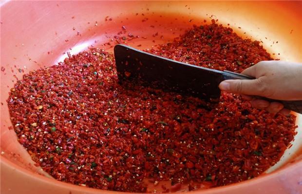 四川厨娘教你40年“豆瓣酱”做法，配方很详细，味道纯正！