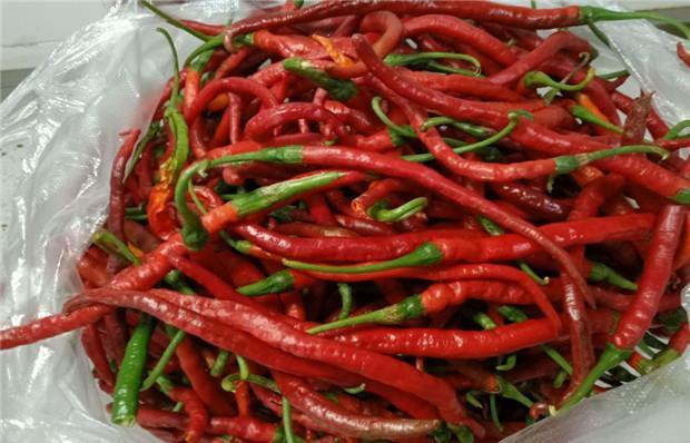 四川厨娘教你40年“豆瓣酱”做法，配方很详细，味道纯正！