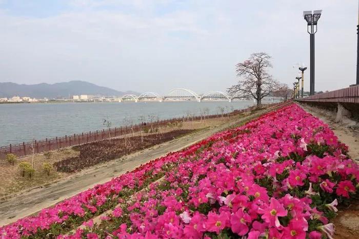 潮州这些地方更美了，你发现了吗？