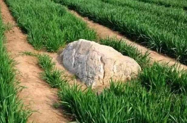 中国最矮的一座山,坐标位于山东,离地面0.6米,却无人敢攀登