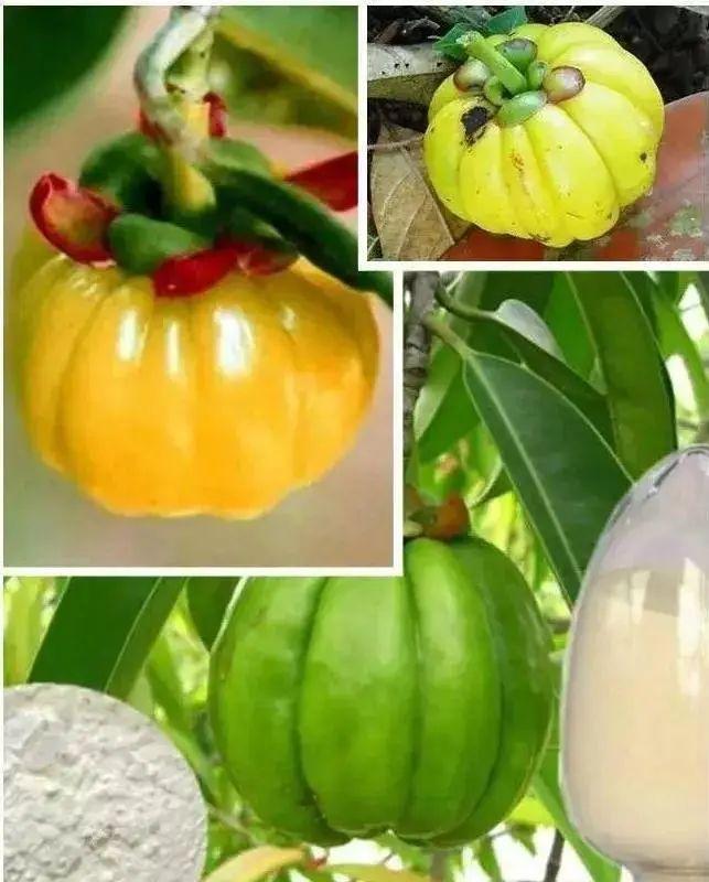 不节食、不代餐，吃“糖”也能瘦出“筷子腿”，还能抗氧美白，变瘦变美1步到位！