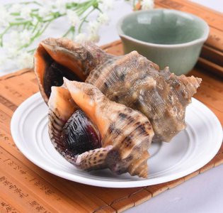 ​冻海螺肉加上它 鲜香浓郁 脆嫩爽口 超级下饭的经典家常菜做法
