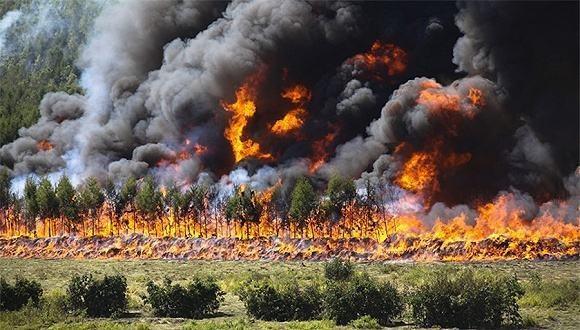 中国史上最大的火灾，直接席卷到俄罗斯，5万名士兵扑救28天