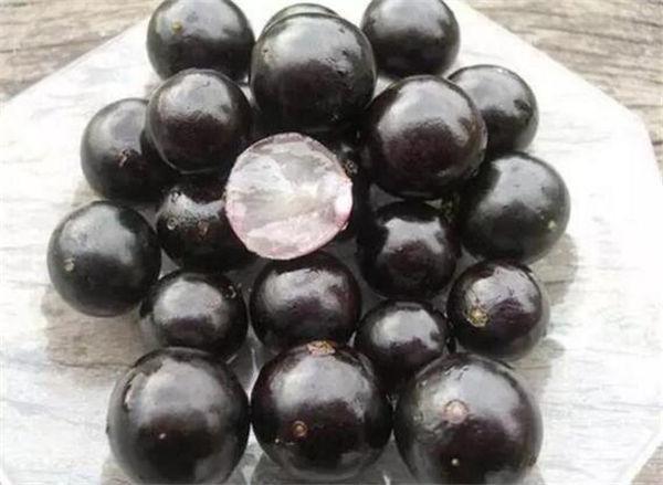 这奇葩水果你吃过吗？我大多数第一次见！