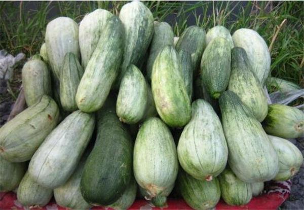 这奇葩水果你吃过吗？我大多数第一次见！