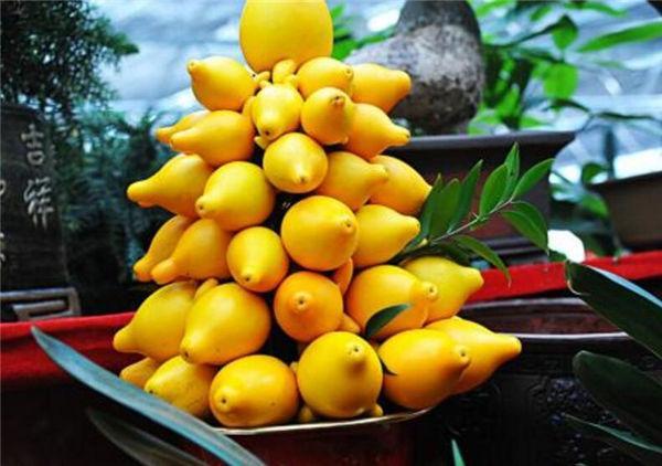 这奇葩水果你吃过吗？我大多数第一次见！