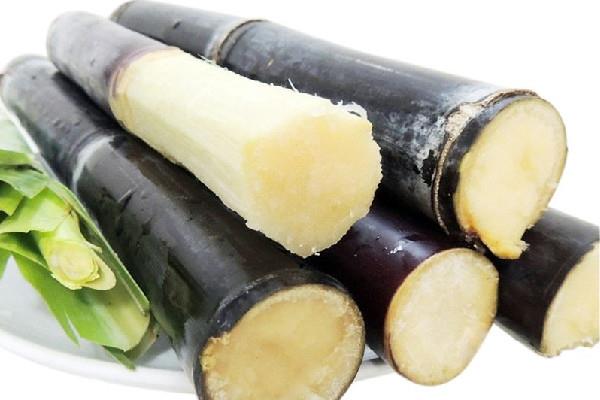 甘蔗有红色斑点能吃吗 甘蔗变质什么样子