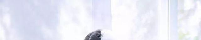 美国社会的治安怎么样?