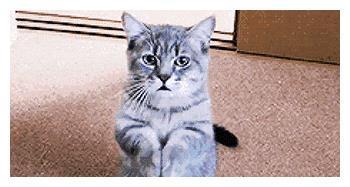 王艳36岁继子曝光,是熟悉的他,难怪成了周迅准婆婆