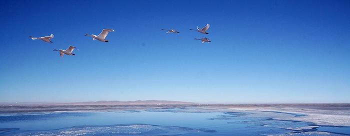 中国最大的湖泊,面积有4583平方公里,如今还在不断变大