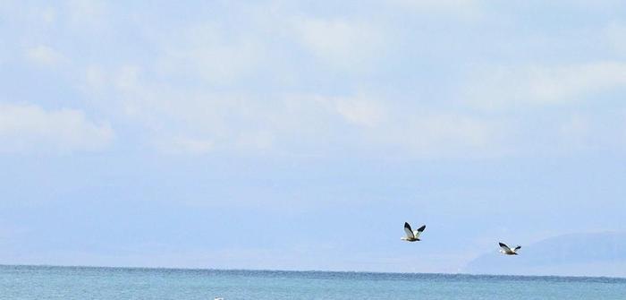 中国最大的湖泊,面积有4583平方公里,如今还在不断变大