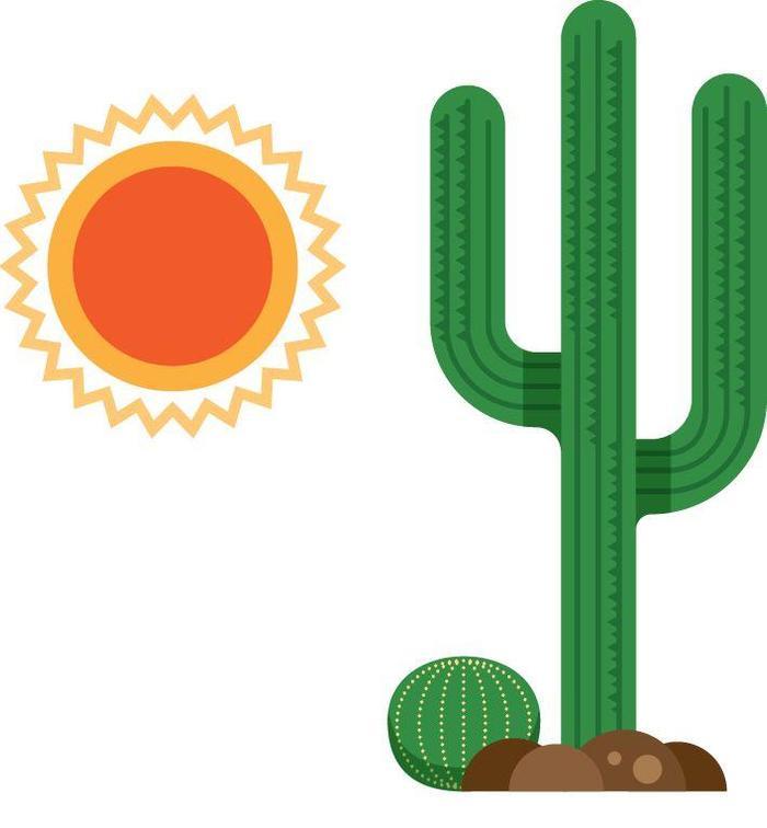 半个世纪的猛追湾，装着全成都的盛夏光年！