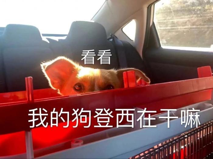 和女友分手后，她成了我的后妈？！