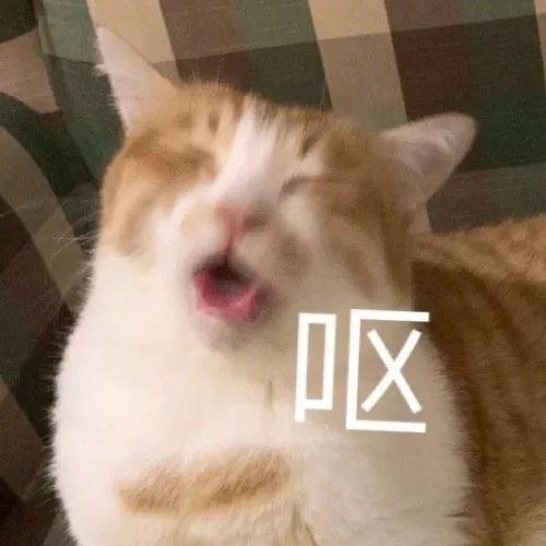 和女友分手后，她成了我的后妈？！
