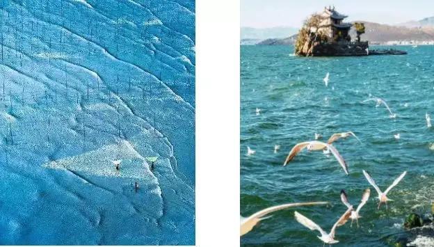 拒绝剧本测评数十家
