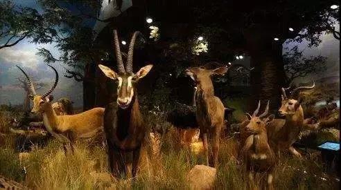 无玩水不夏天,苏州5大水乐园都在这里了!你都去过了吗?