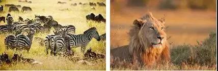 无玩水不夏天,苏州5大水乐园都在这里了!你都去过了吗?