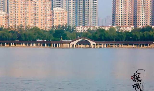 去什么张家界！洛阳人家门口这条玻璃栈道火了！所有人免费玩！
