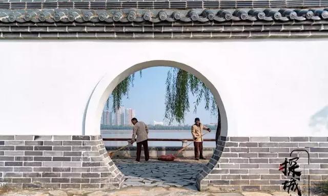 去什么张家界！洛阳人家门口这条玻璃栈道火了！所有人免费玩！