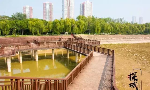 去什么张家界！洛阳人家门口这条玻璃栈道火了！所有人免费玩！