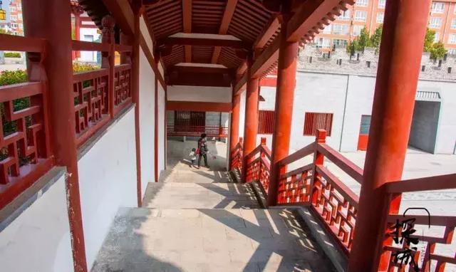 去什么张家界！洛阳人家门口这条玻璃栈道火了！所有人免费玩！