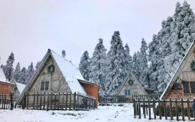 重庆下雪了！这些地方已美如幻境！周末去玩雪吧