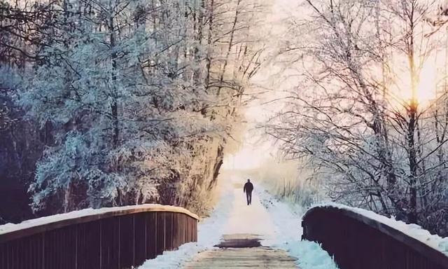 重庆下雪了！这些地方已美如幻境！周末去玩雪吧