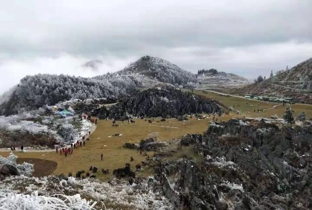 重庆下雪了！这些地方已美如幻境！周末去玩雪吧