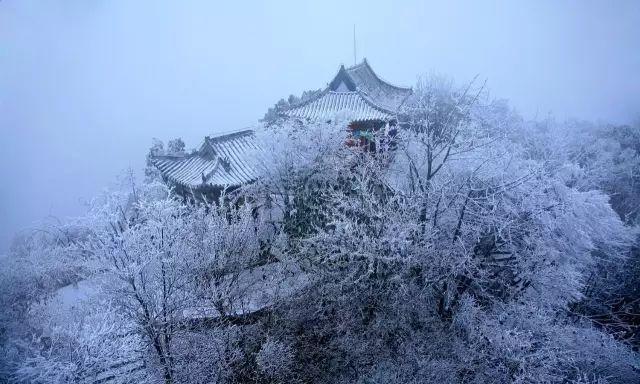 重庆下雪了！这些地方已美如幻境！周末去玩雪吧