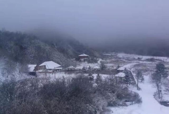 重庆下雪了！这些地方已美如幻境！周末去玩雪吧