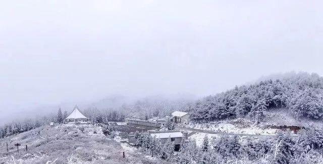 重庆下雪了！这些地方已美如幻境！周末去玩雪吧