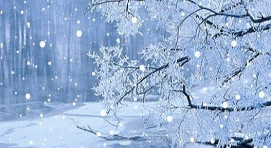 重庆下雪了！这些地方已美如幻境！周末去玩雪吧