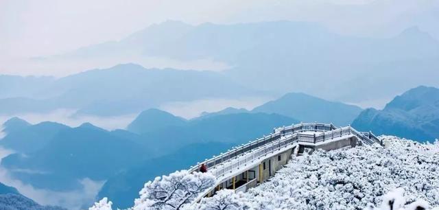 重庆下雪了！这些地方已美如幻境！周末去玩雪吧