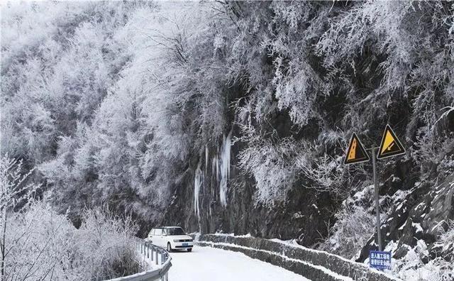 重庆下雪了！这些地方已美如幻境！周末去玩雪吧